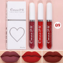Batom Líquido Matte Aveludado e Duradouro à Prova d'Água Gloss